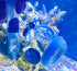 4-6-8" TankMatez Hydraulic Silent Release Bubble Fish Trap